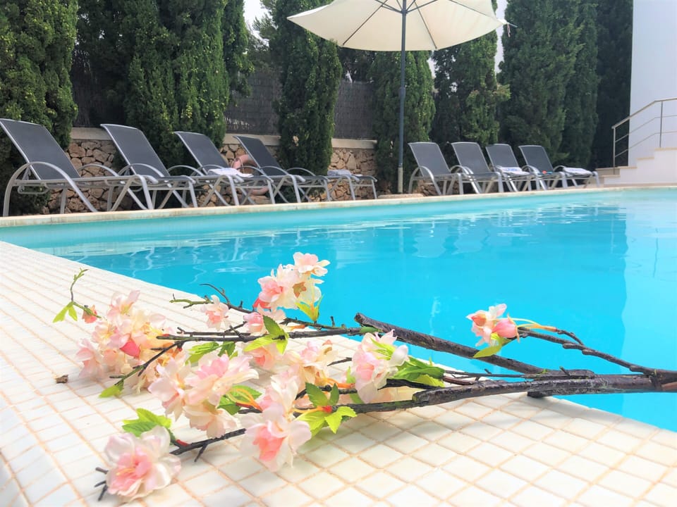 Exterior lanscape, swimming pool and Villa Ohana.