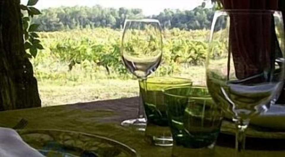 From a table at our favourite restaurant overlooking vineyards