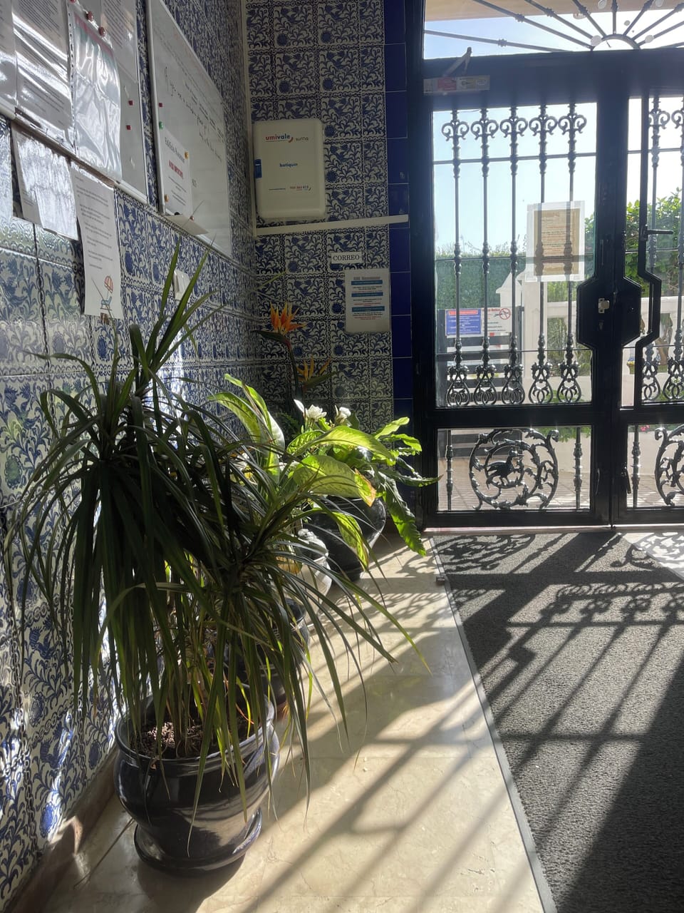 Entrance foyer with lift