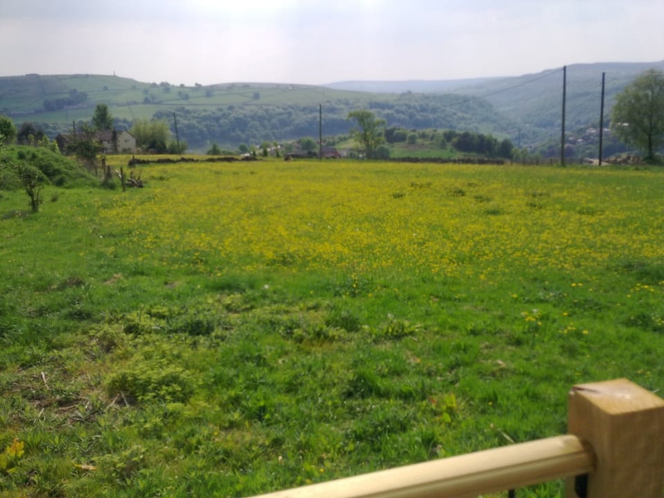Our fields almost surround the cottage