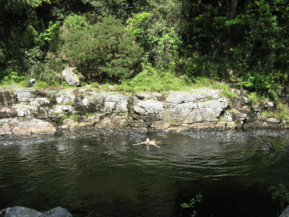 Wild swimming nearby in the River Dart
