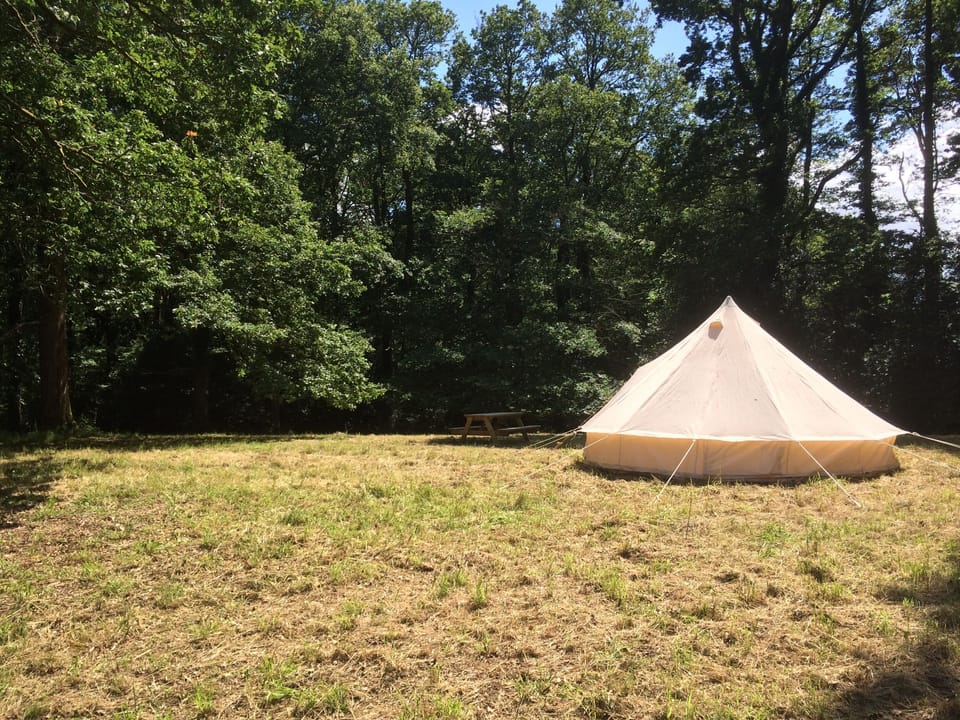 Enjoy our beautiful bell tent in our wood