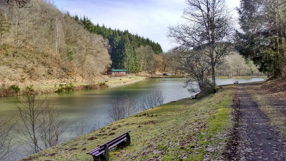   Vulkaneifel Bleckhausen near Manderscheid 6 pers. ideal for vacation with dog House in Vulkaneifel