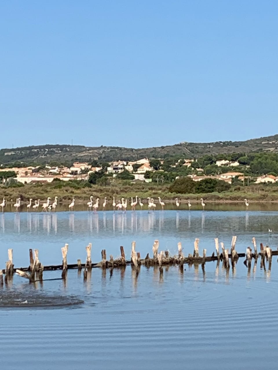 Lake