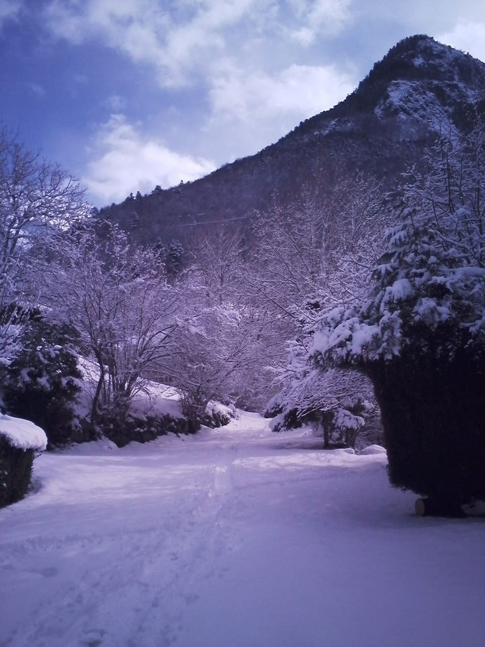 Snow and ski sports