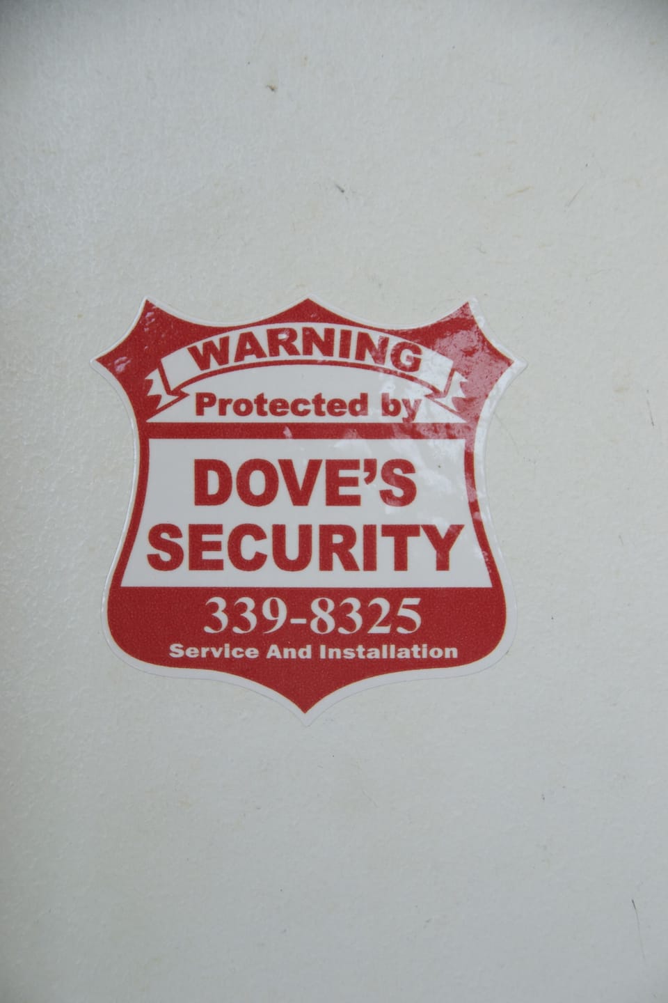 Security system for peace of mind