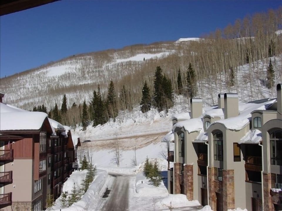 View From Deck