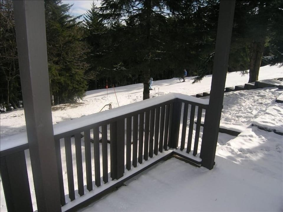 The slopes as seen from the walk out balcony
