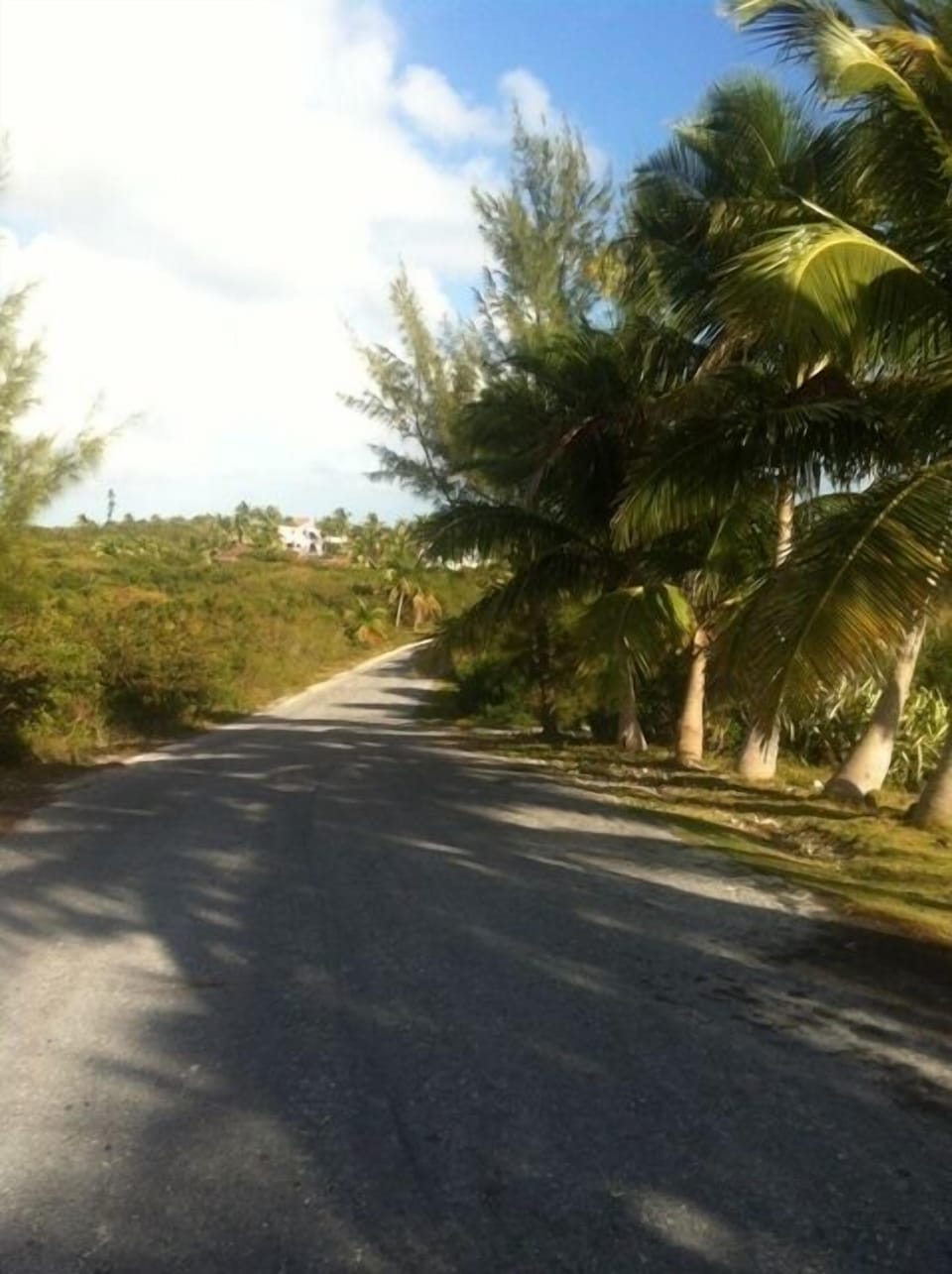 Road leading down to beach