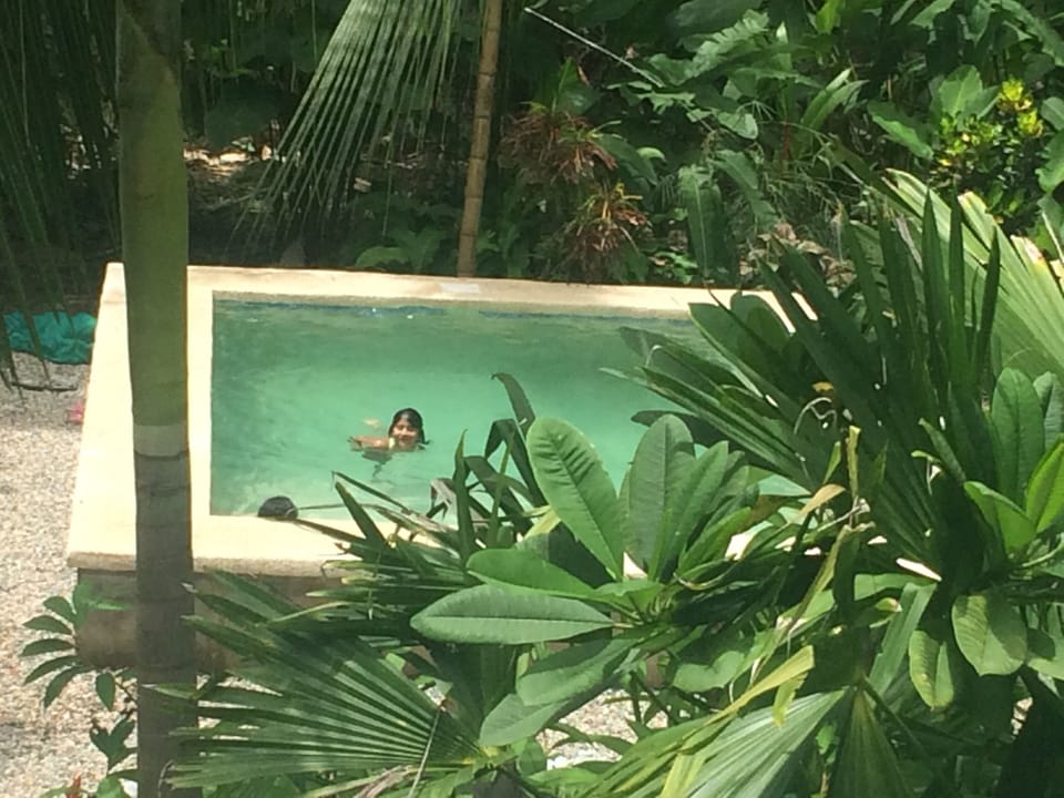 Pool is great for the whole family.