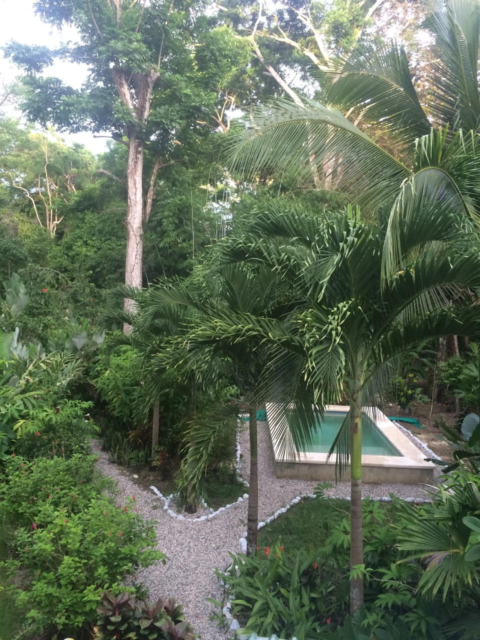 View of pool and trail to beach from upstairs bedroom.