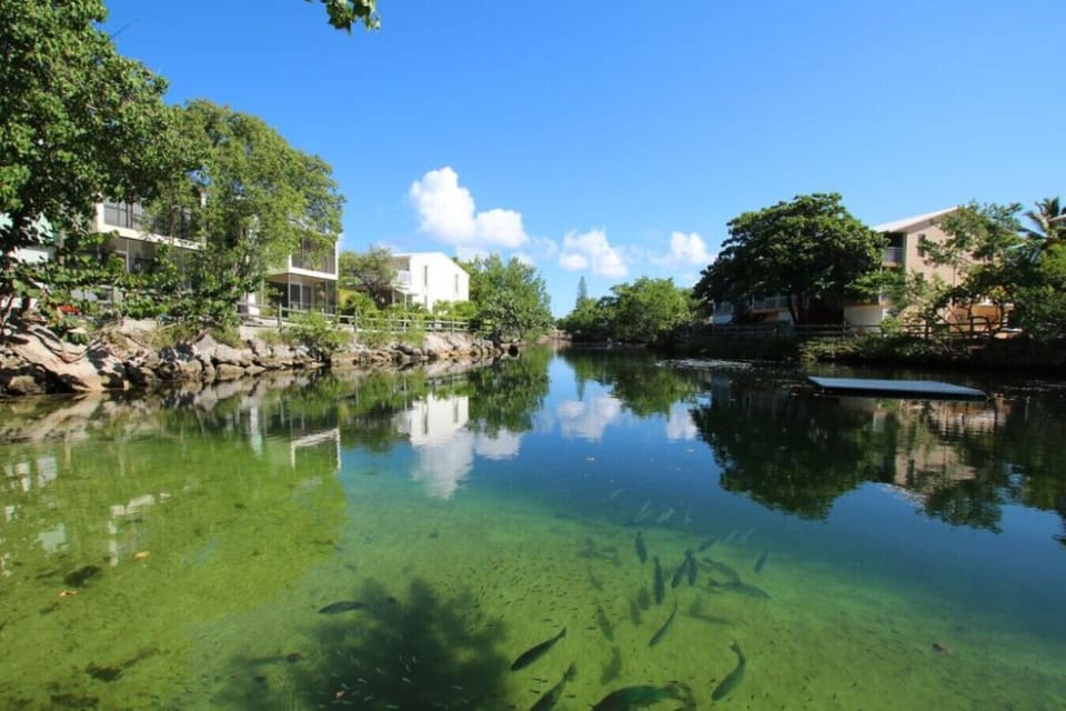 Marine life at lagoon