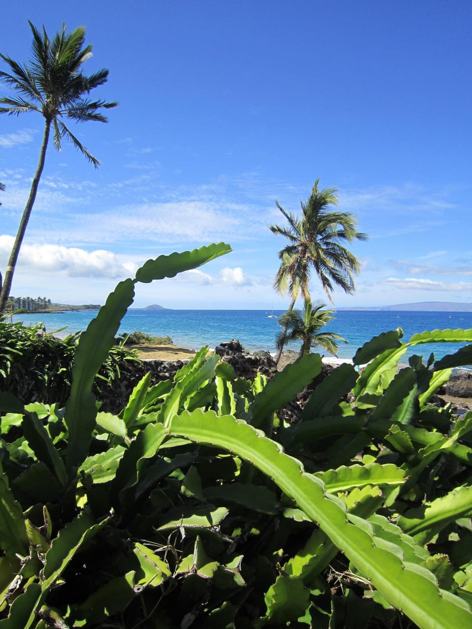 View of Makena from Charley Young Beach