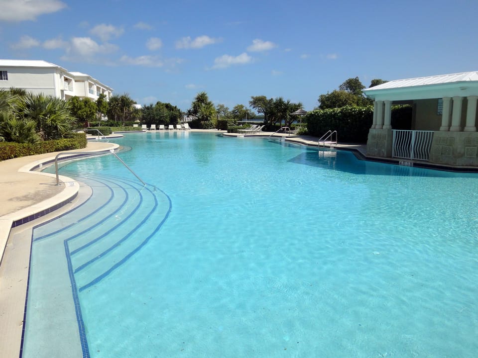 Longest oceanfront pool in Florida Keys. Palm trees and ocean views.