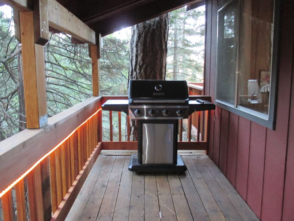 New Gas Grill