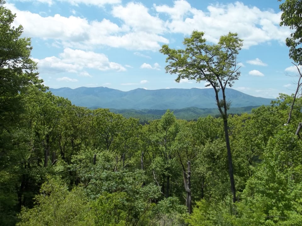 View from the top deck