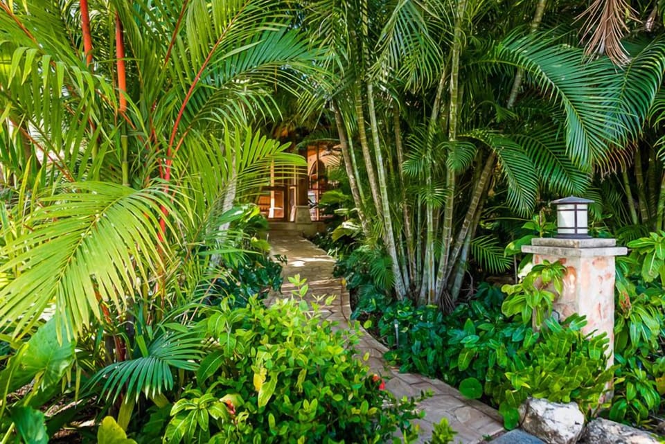 One entrance to the house through outdoor social area.  Beautiful vegetation.