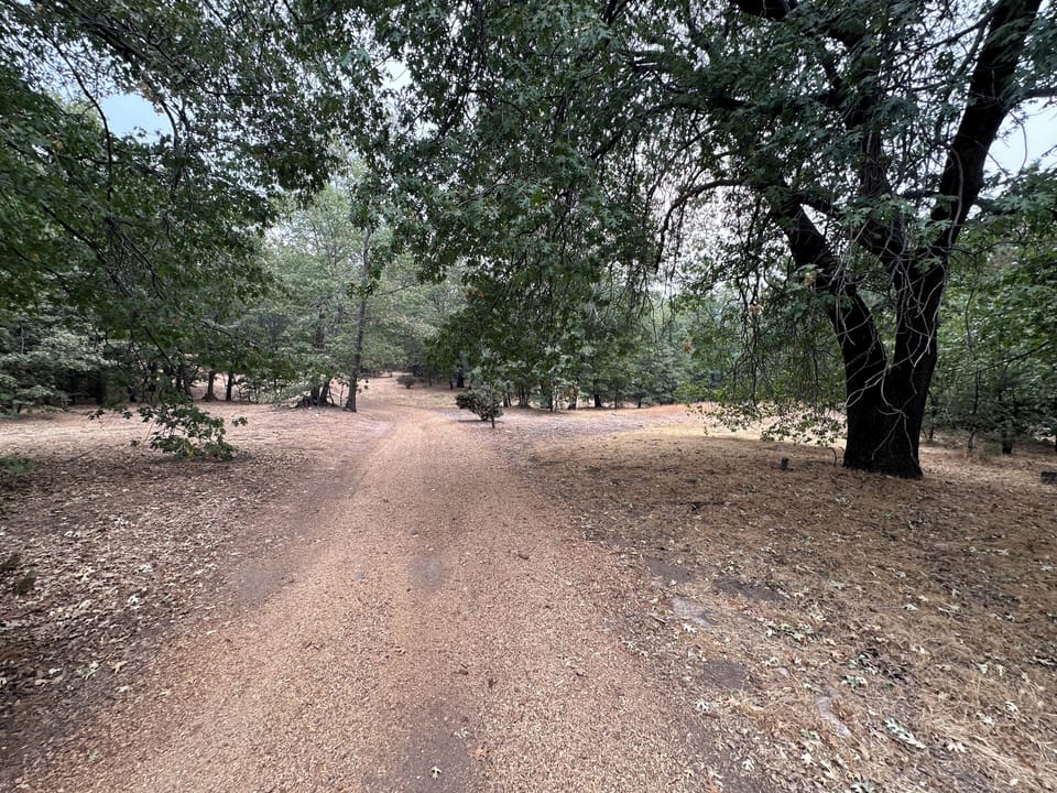 Take a walk on groomed trails thru UCLA Bruin Woods to the bar and restaurant.