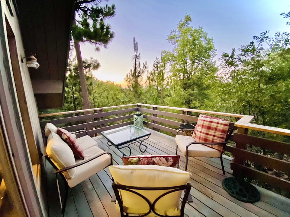 Tree top sunset.