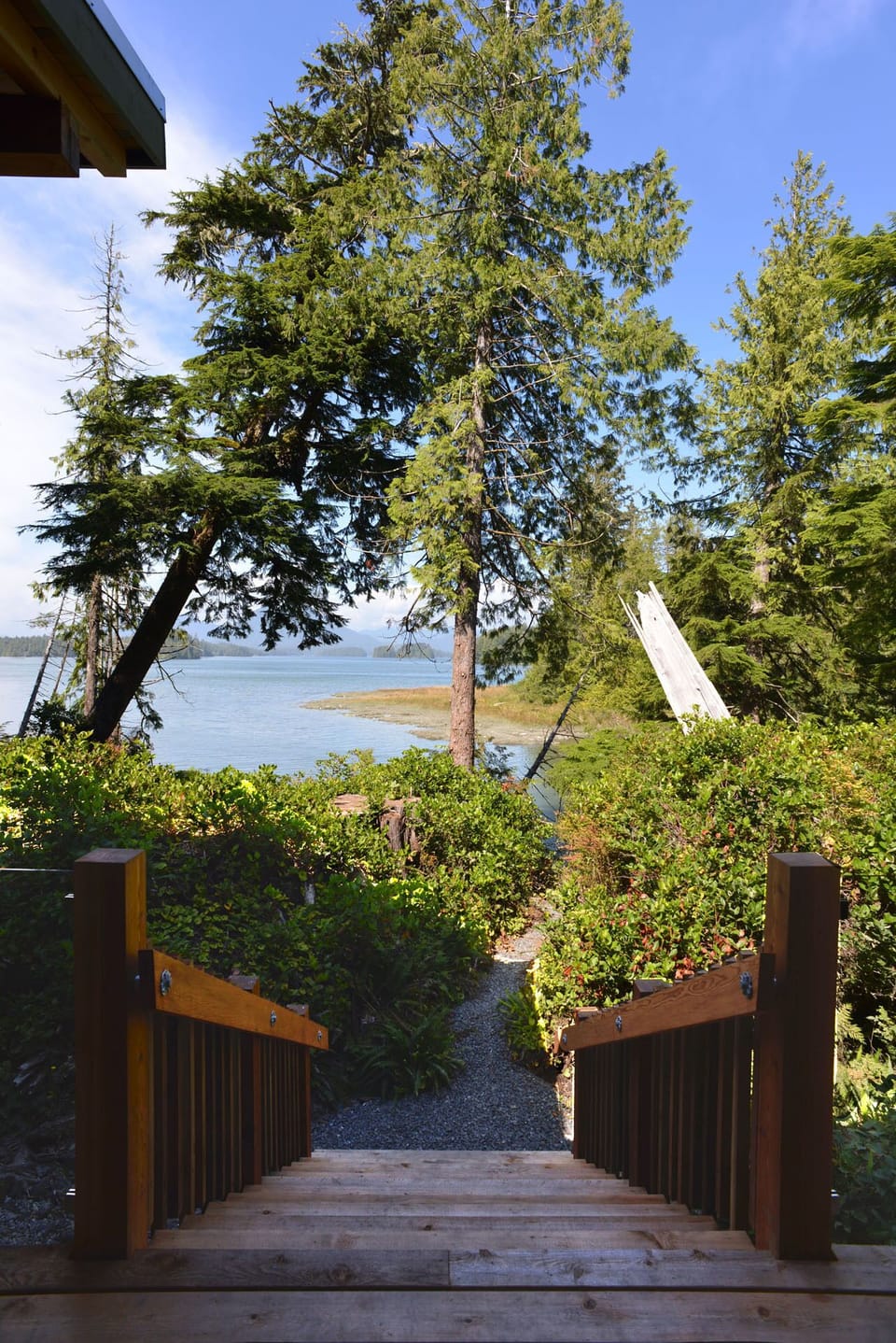 View from property