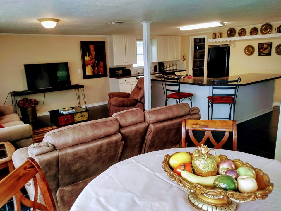 View from dining 