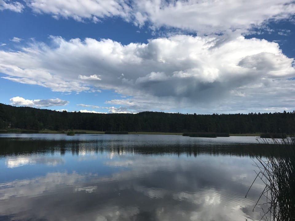 Lake Odel in Munds Park, fishing allowed