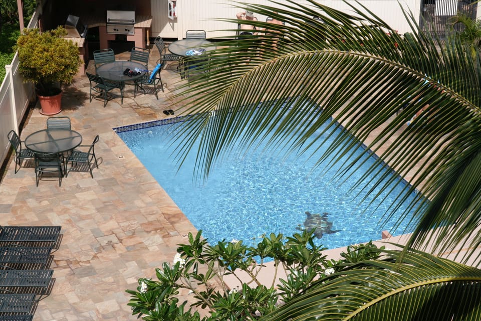 Pool, shaded area  and BBQ within steps.