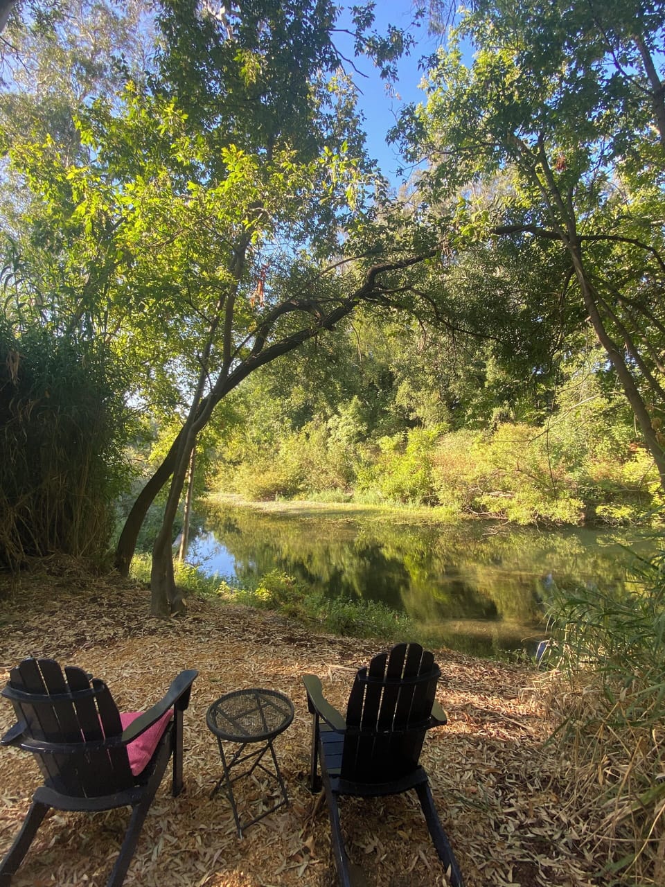 Meditate, relax, watch the ducks and river otters while you picnic. Sunset view!