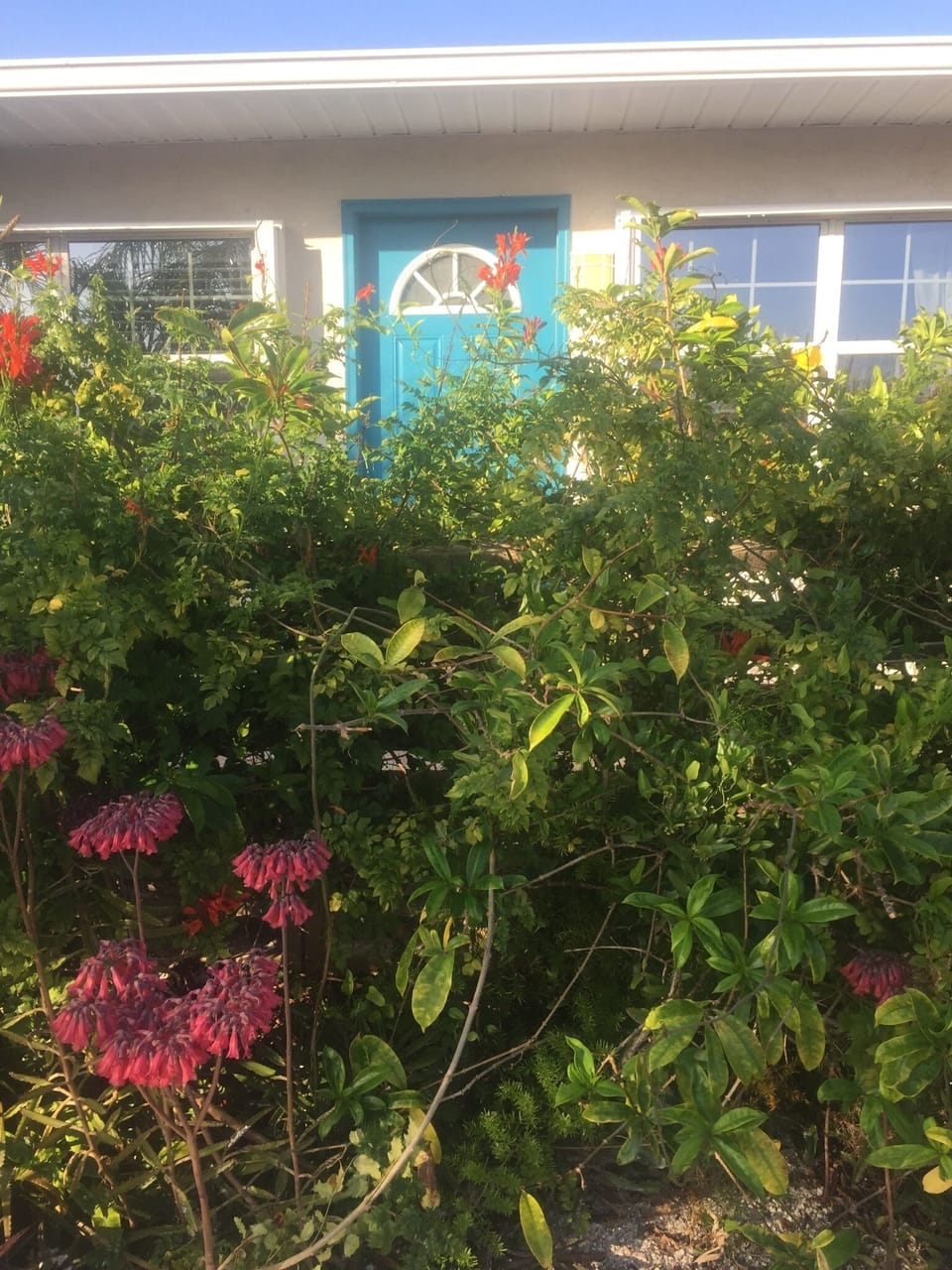 Tucked behind mature landscaping...