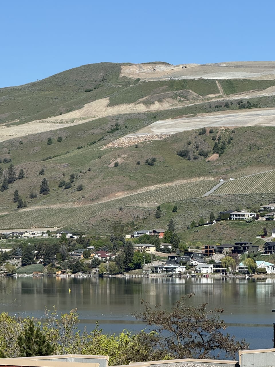 View of a blooming winery across the lake. 