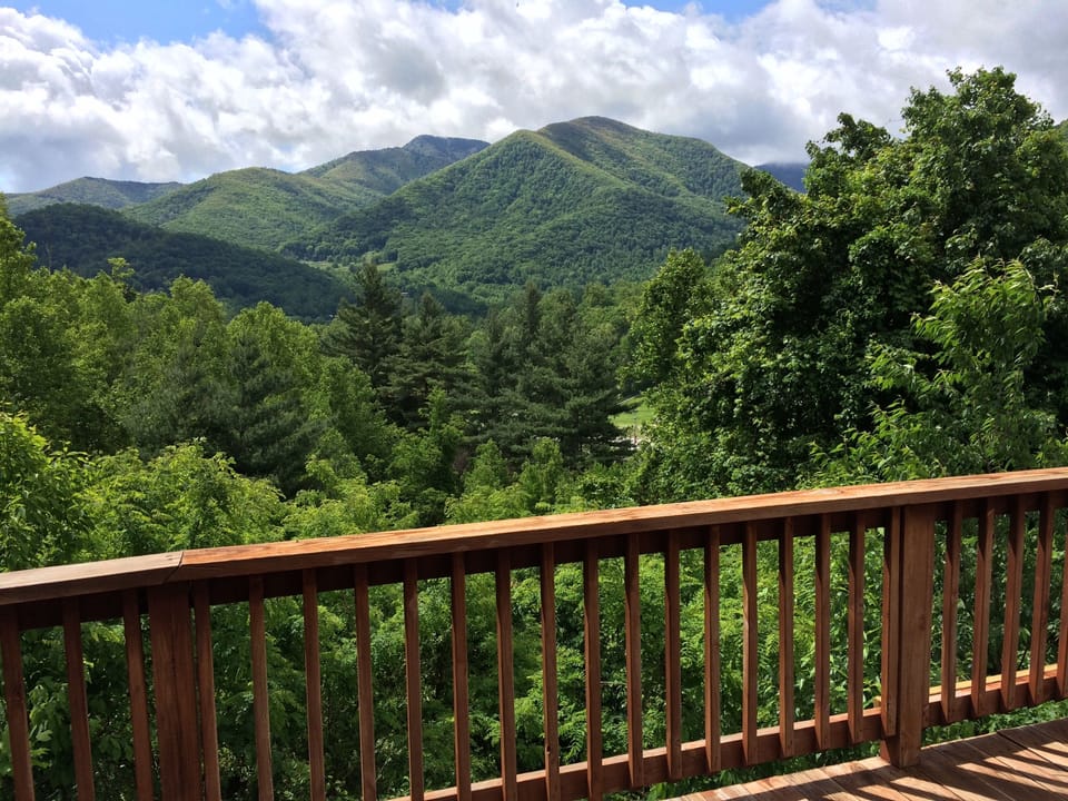 Summertime view off rear deck