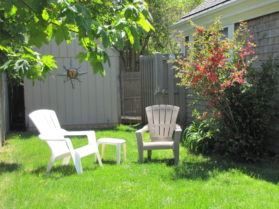 Private side yard with back shed and outdoor shower