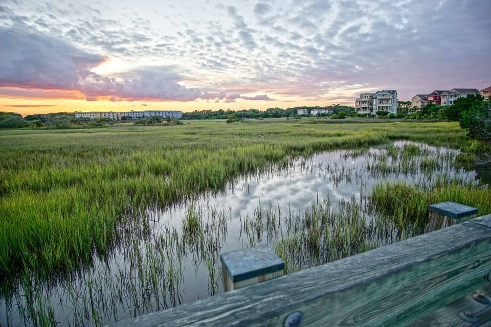 Tidal Creek And Salt Marsh At Singleton Beach Approx. 500 Yards From The House