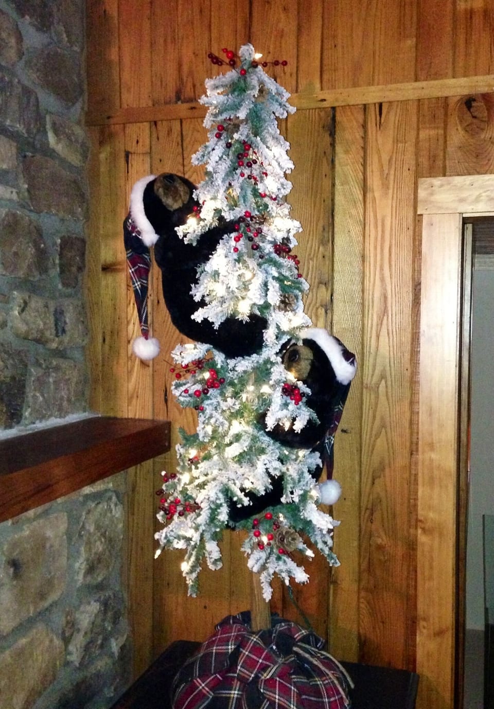 Celebrate your Holidays at Bearadise!