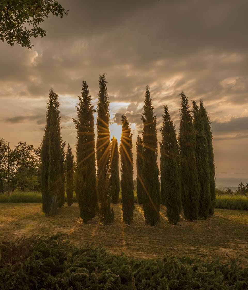 Sunset ont he magic Pine Circle