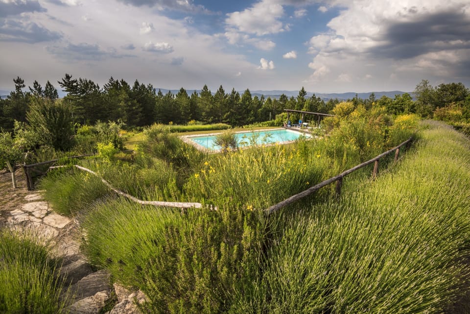 The Pool in her Garden (Spring)