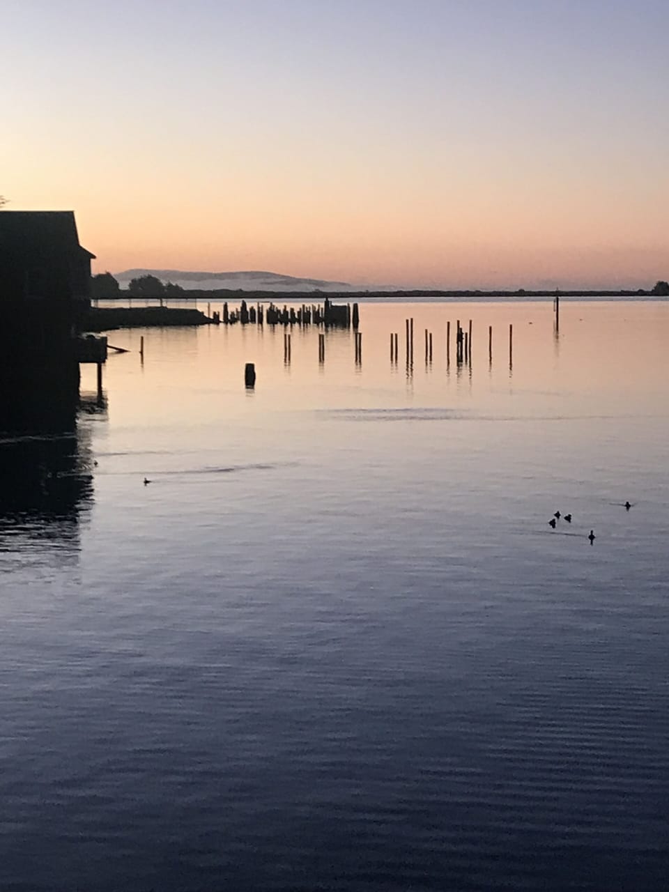 sunrise