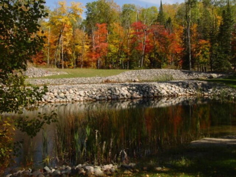 Chipping green & ponds in yard! Not for swimming/fishing. 