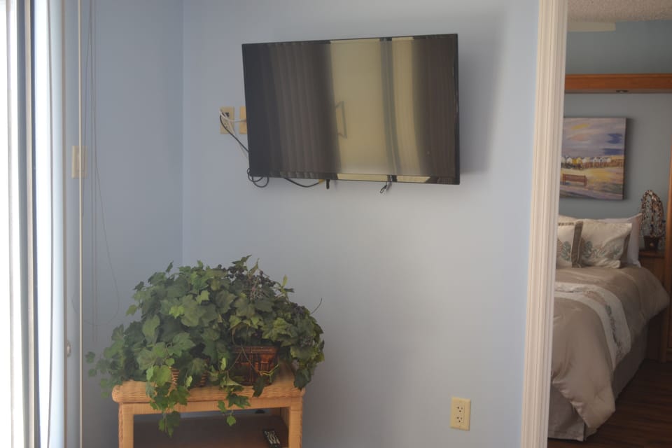 Television in Living room