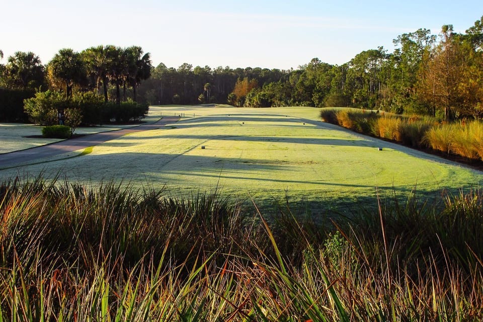 Fairway 5th Tee