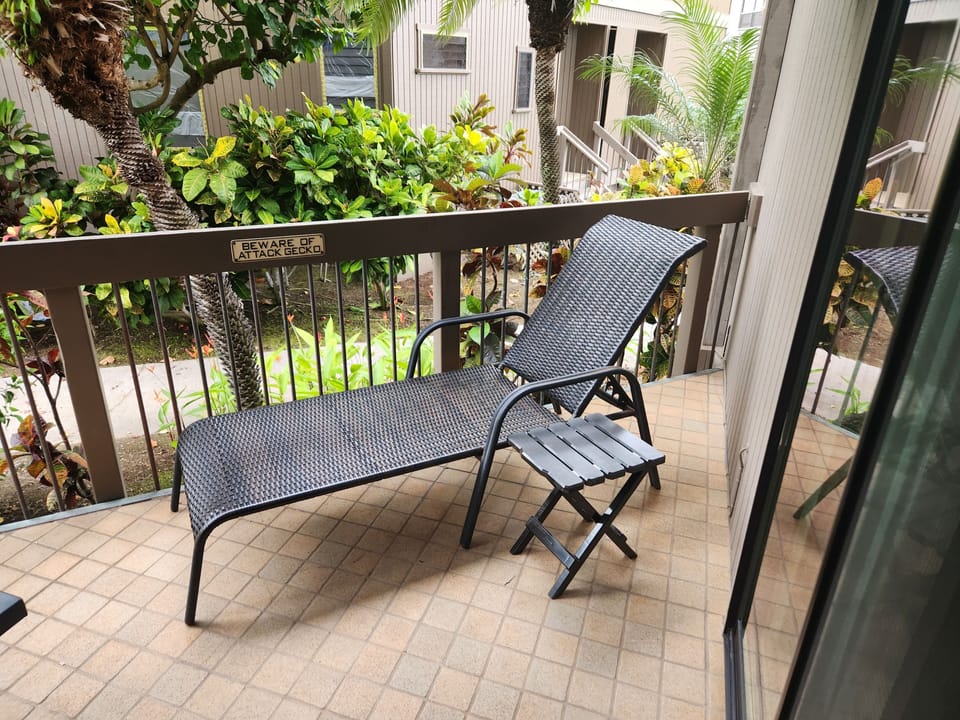 Relax on the lounge chair with a good book and a drink; and listen to the waves!