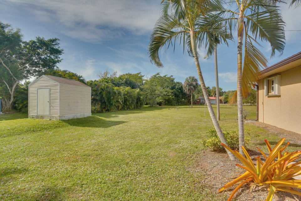 Backyard
