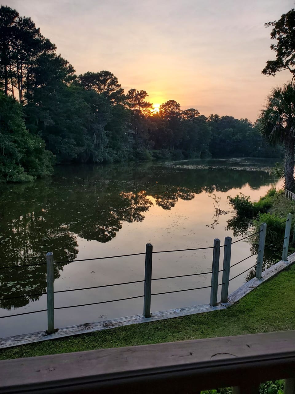 View from property