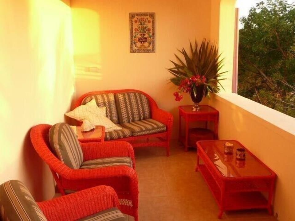 Terrace at sunset