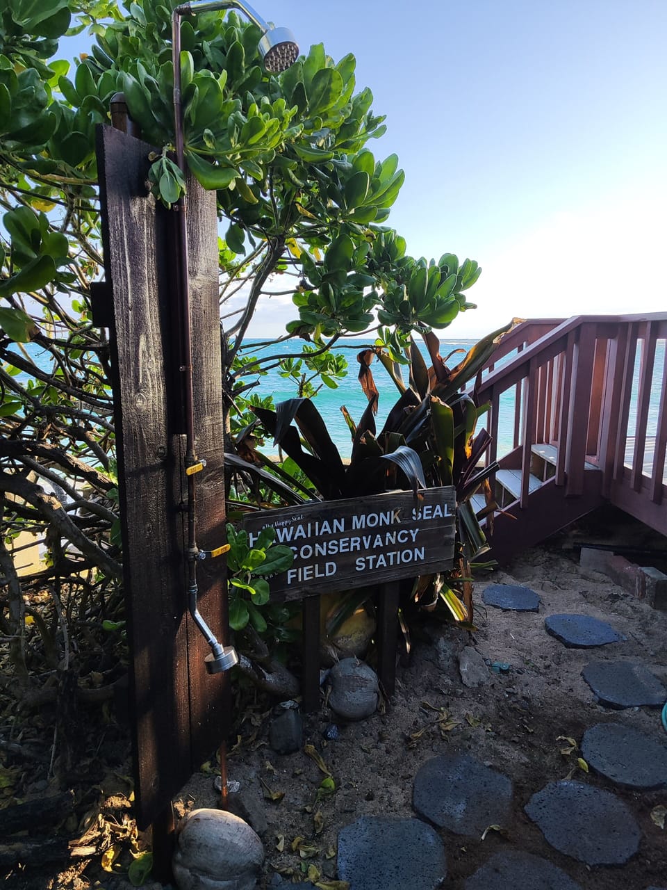 Outdoor shower