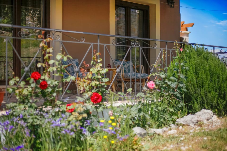Colourful garden