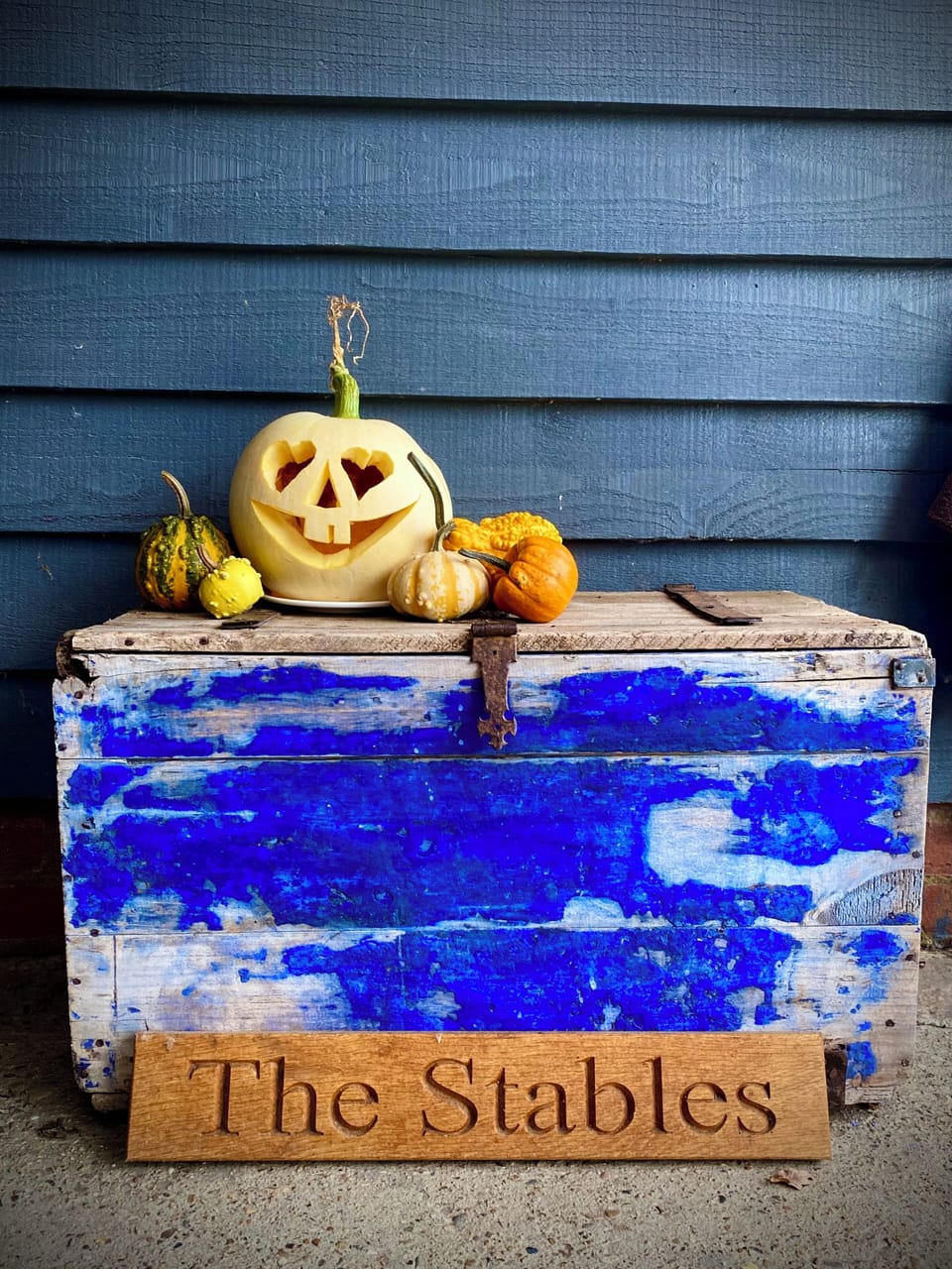 Pumpkins at Halloween.