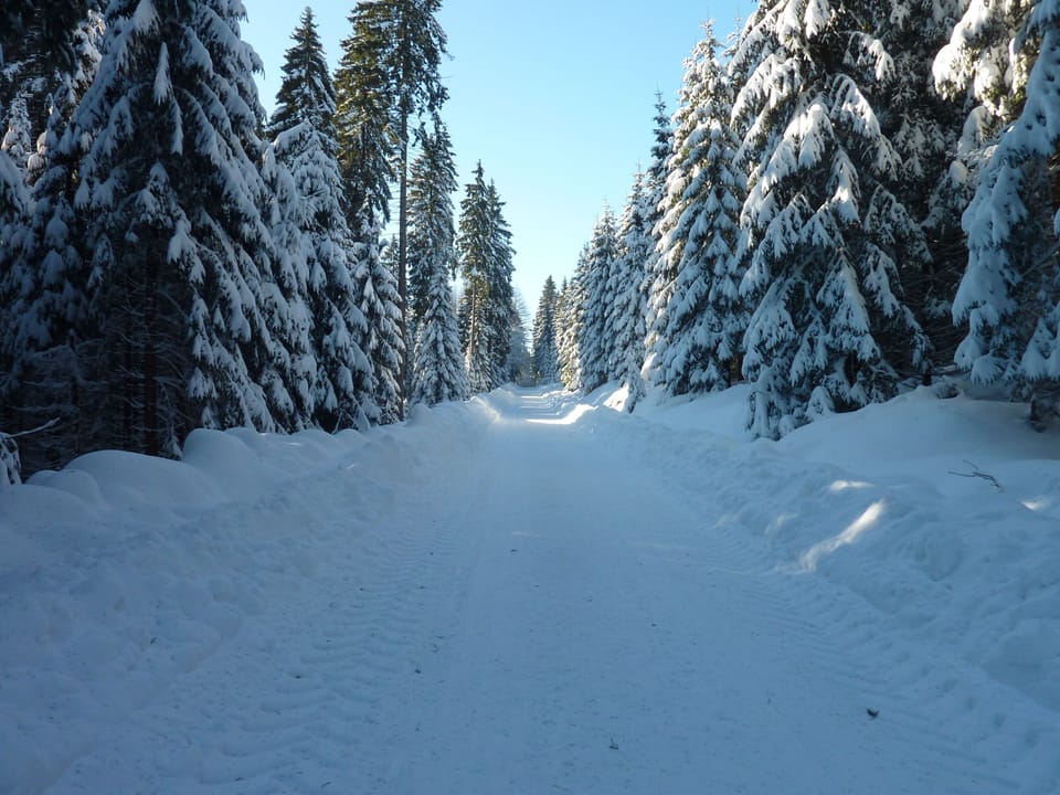 Snow and ski sports