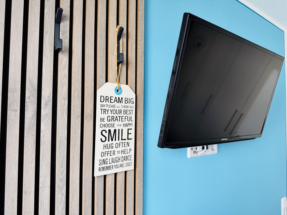 Television