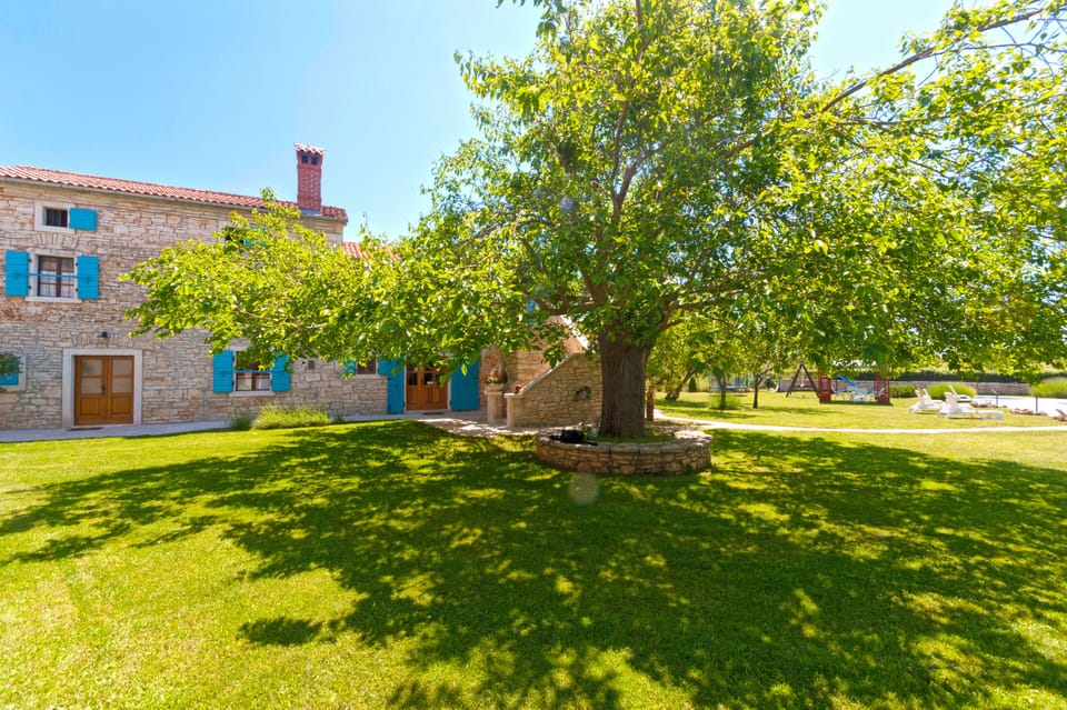 A beautiful shade under the warm sun